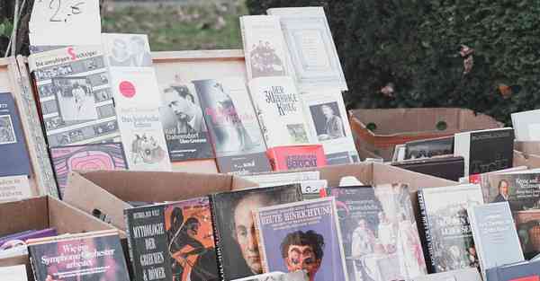 ios手机怎么上推特